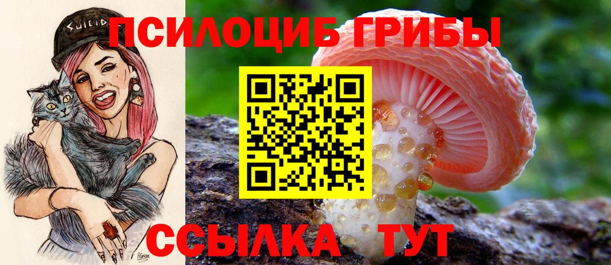 Галлюциногенные грибы ЛСД Гудермес
